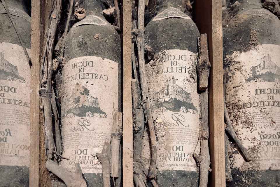 Luxury Italy Vine Portfolio+